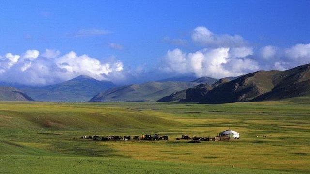 Yourte dans la steppe mongole